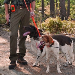 Műholdas GPS nyomkövető DOG GPS X20