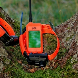 Kereső és kiképző készülék hangjelzővel DOG GPS X25TB Short