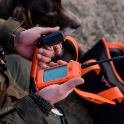 Rövidebb nyakörv egy másik kutyához - DOG GPS X30T Short