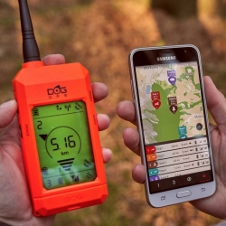 Műholdas GPS nyomkövető DOG GPS X30 - kiképző modul nélkül