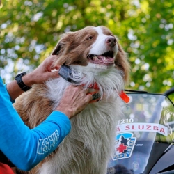 Műholdas GPS nyomkövető DOG GPS X30 - kiképző modul nélkül